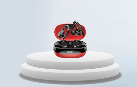 Ear-Buds